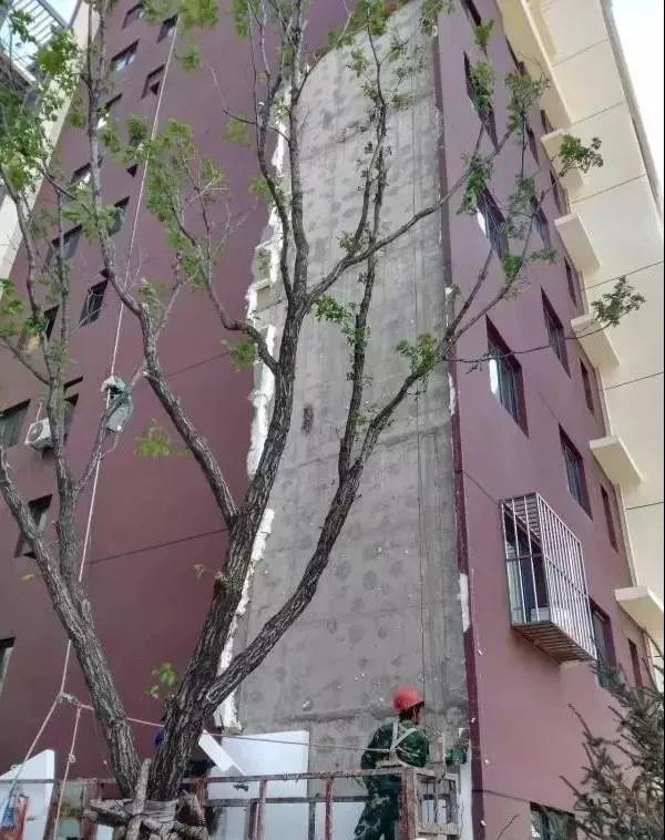 1-201114154440529-20230902093514